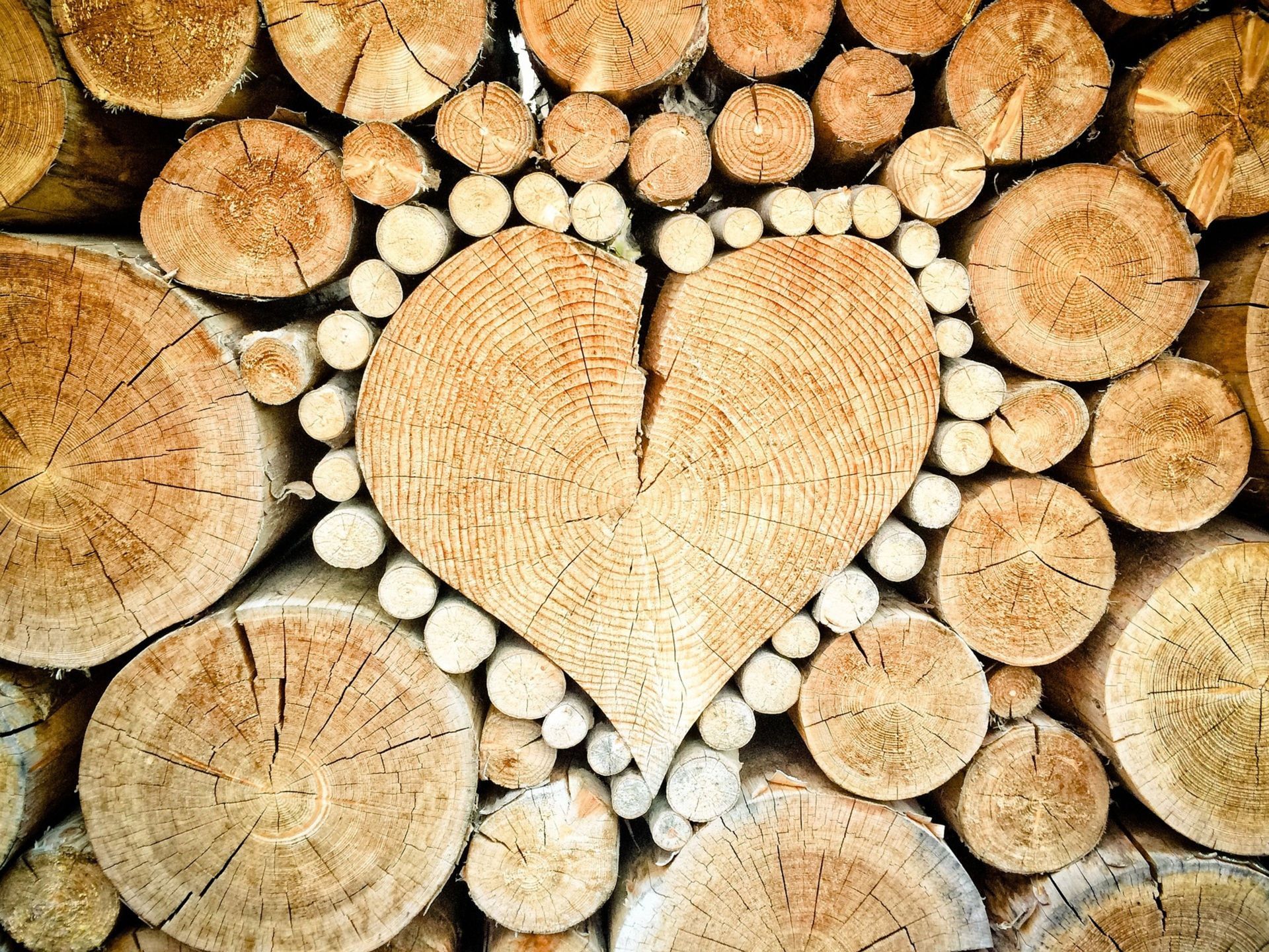 Heart-shaped design made of light brown wood logs, surrounded by a wall of wood rounds