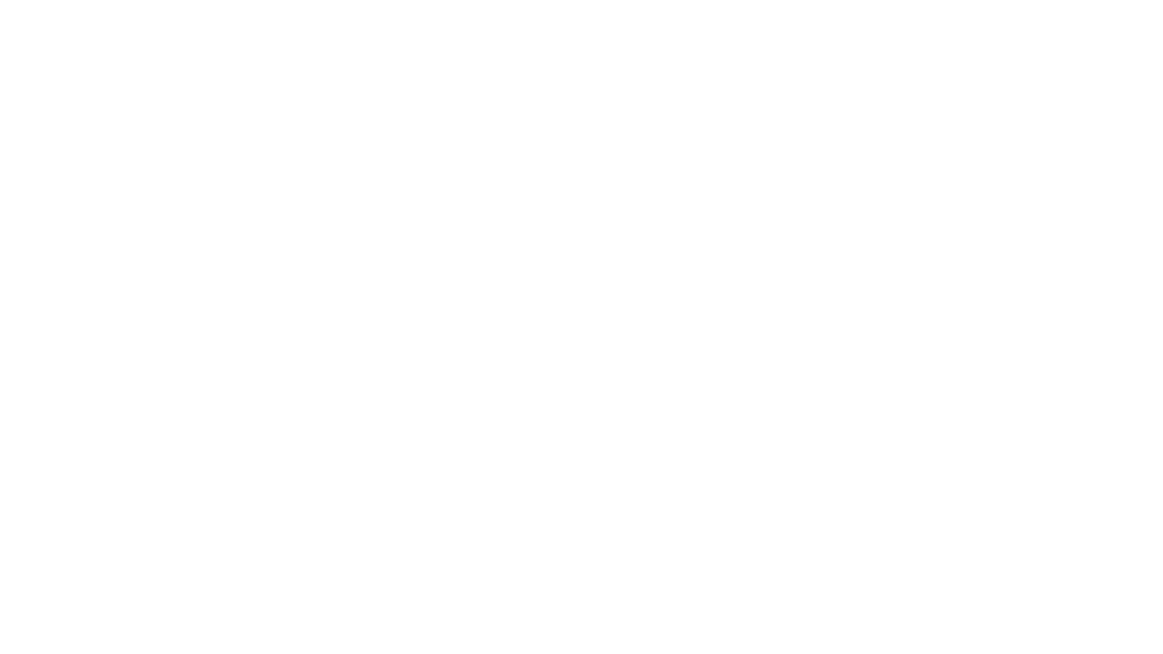 Blank white screen with a thin black border along the bottom edge
