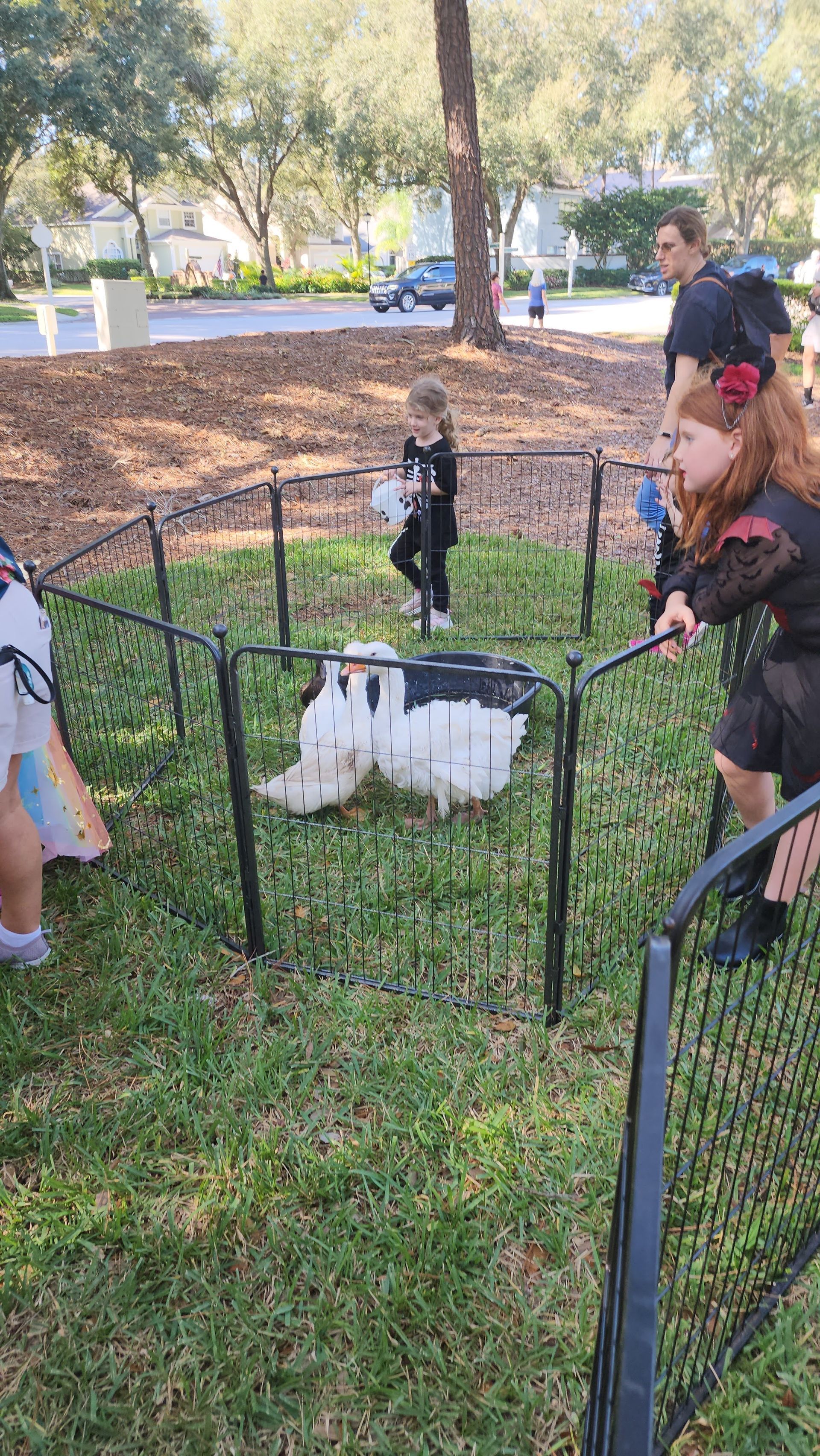 A group of people are standing around a rabbit in a fenced in area.