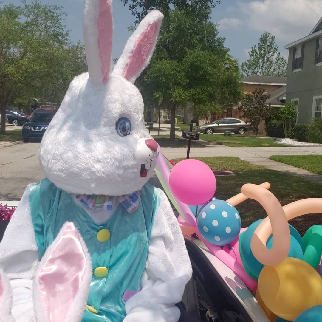 A stuffed bunny is sitting in the back of a car surrounded by balloons
