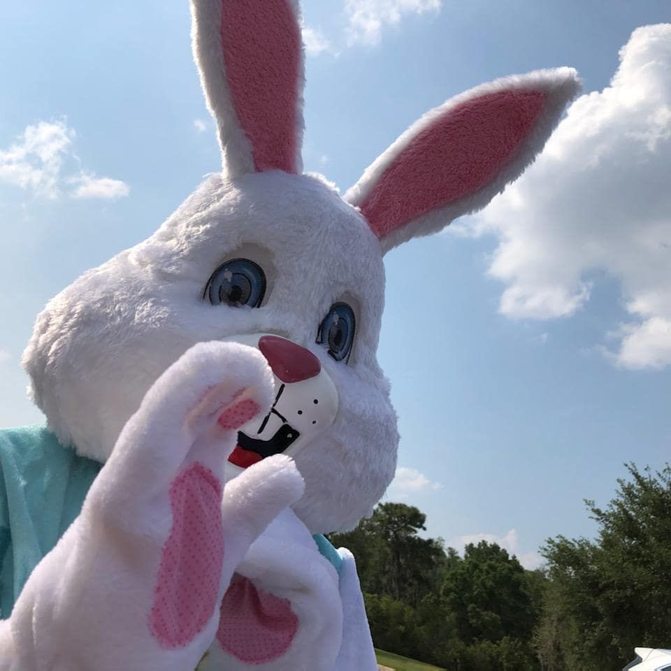 A stuffed bunny with pink ears and a blue shirt