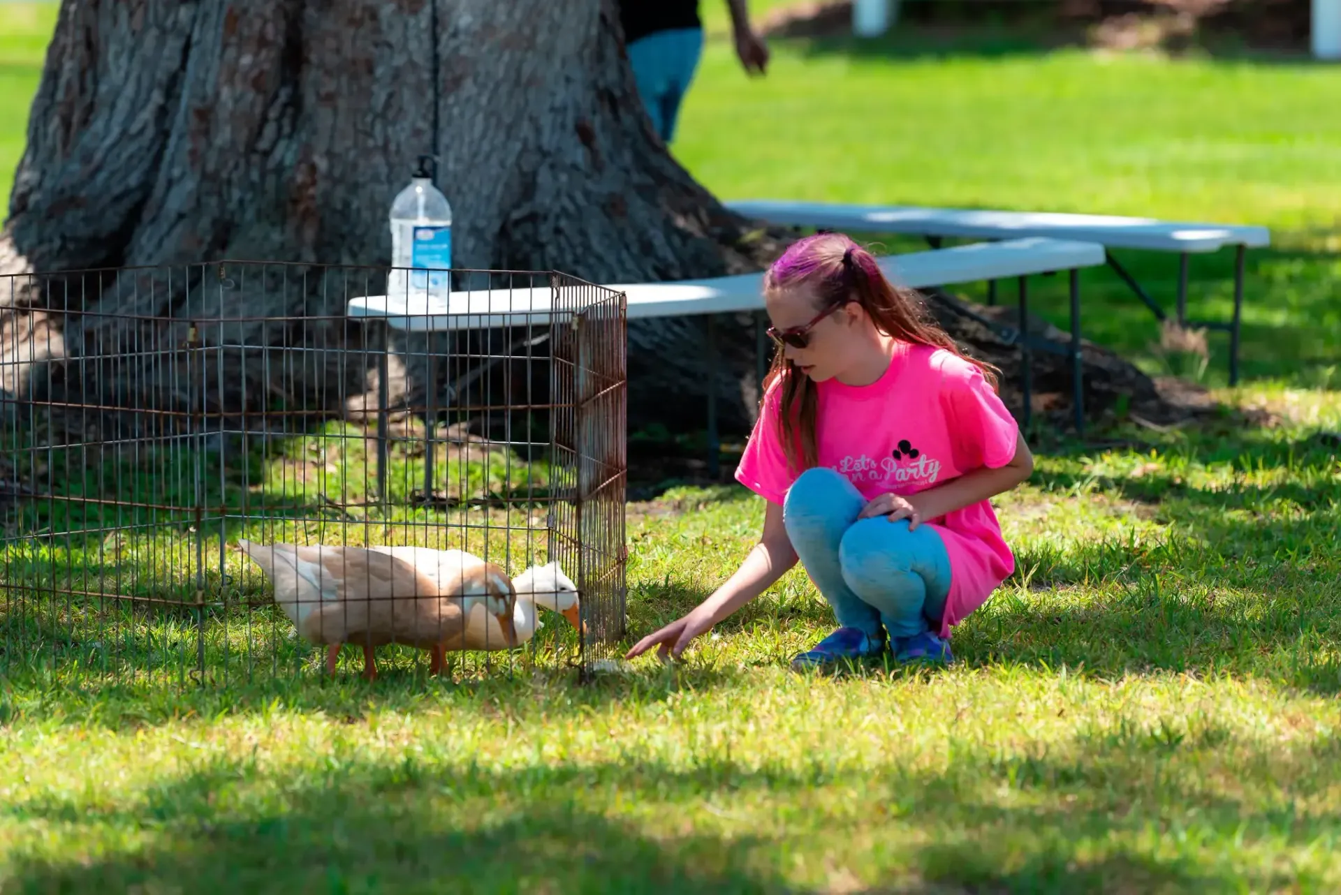 A girl in a pink shirt is feeding a duck in a cage.