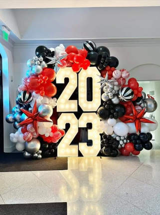 graduation organic balloon arch 202