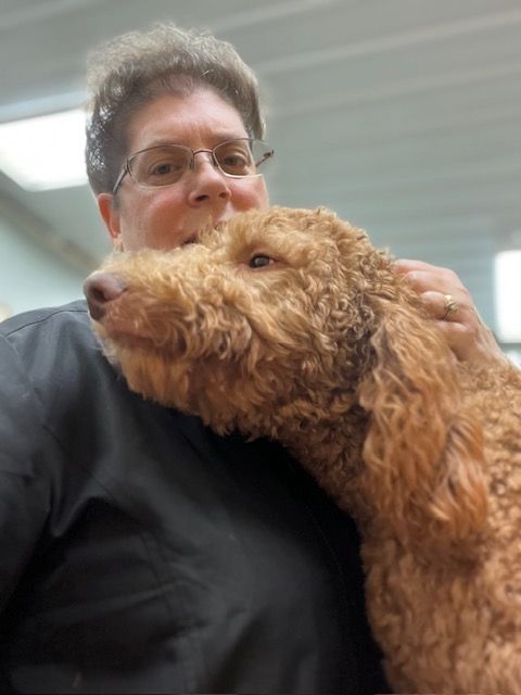 Groomer trimming a small, fluffy, light-colored dog on a grooming table. The dog wears a blue collar.