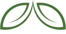 two green leaves are connected by a line on a white background .