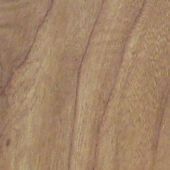 A close up of a piece of wood showing the grain and texture.
