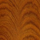 A close up of a piece of wood with a swirl pattern.