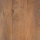 A close up of a piece of wood showing the grain and texture.