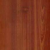 A close up of a piece of wood showing the grain and texture.