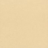 A close up of a piece of beige paper.