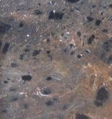 A close up of a rock with a lot of small stones on it.