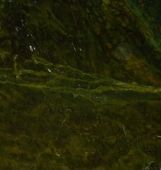 A close up of a green marble texture.