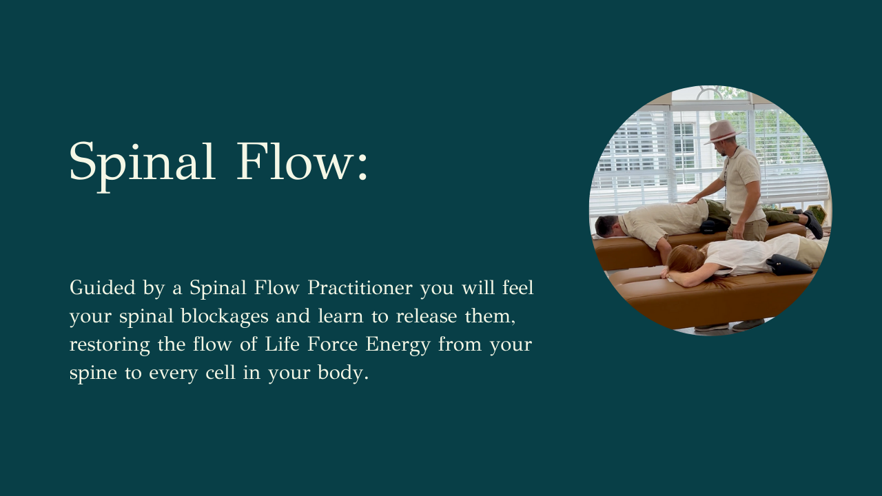Spinal-flow