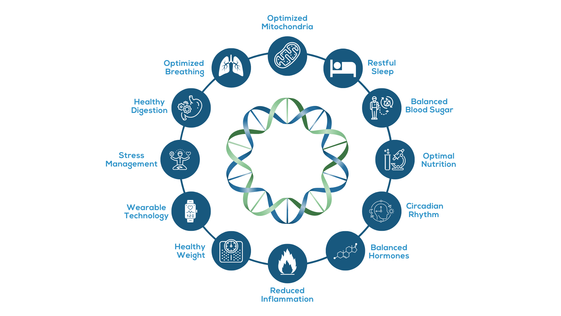 A circle diagram of the interconnectedness of healthy metabolism with various icons in it.