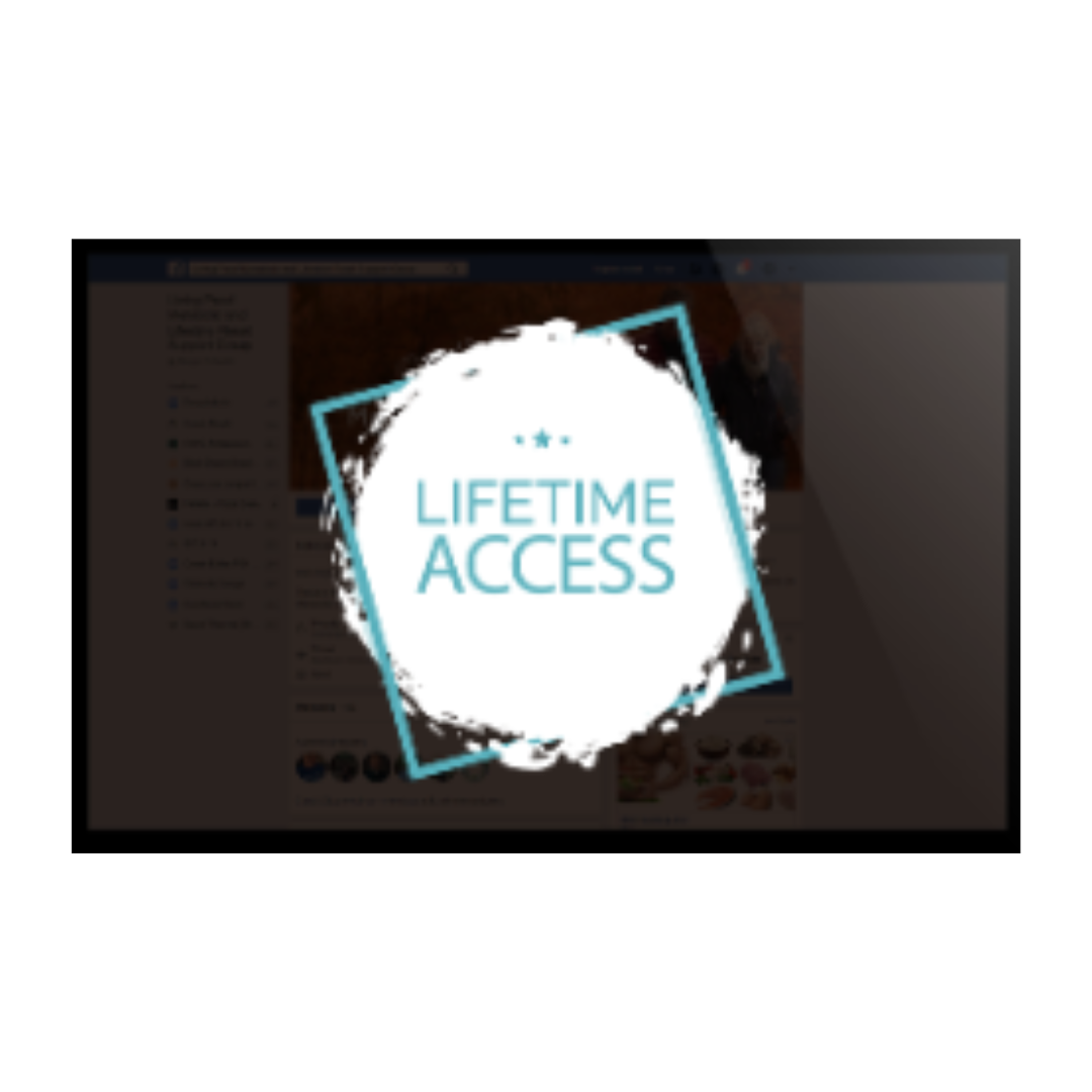 A lifetime access logo is on a computer screen.