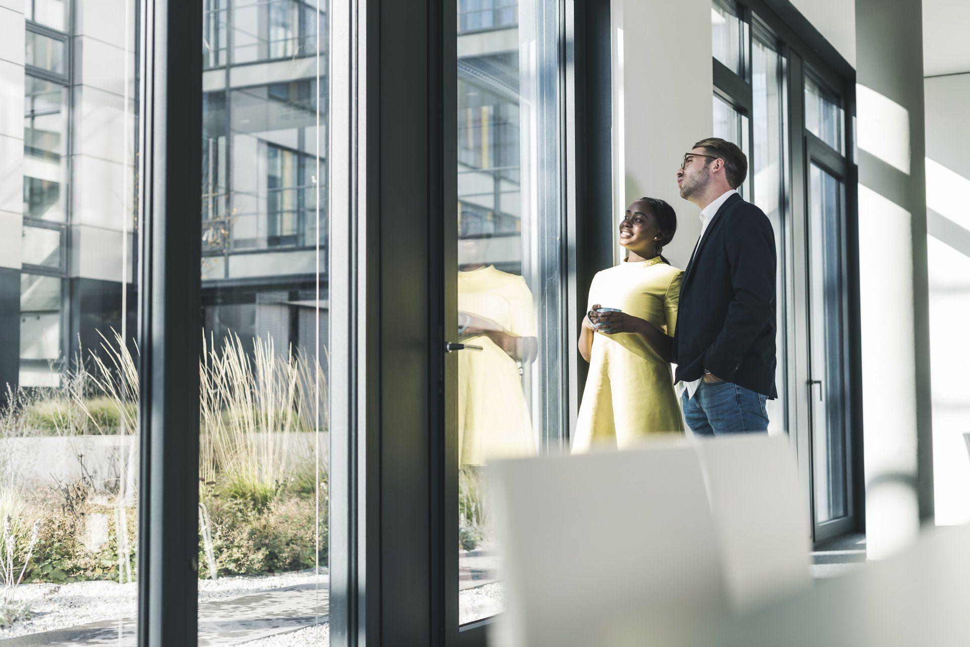Neutral Window Film