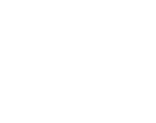 Bruno Flavio Parquettista logo
