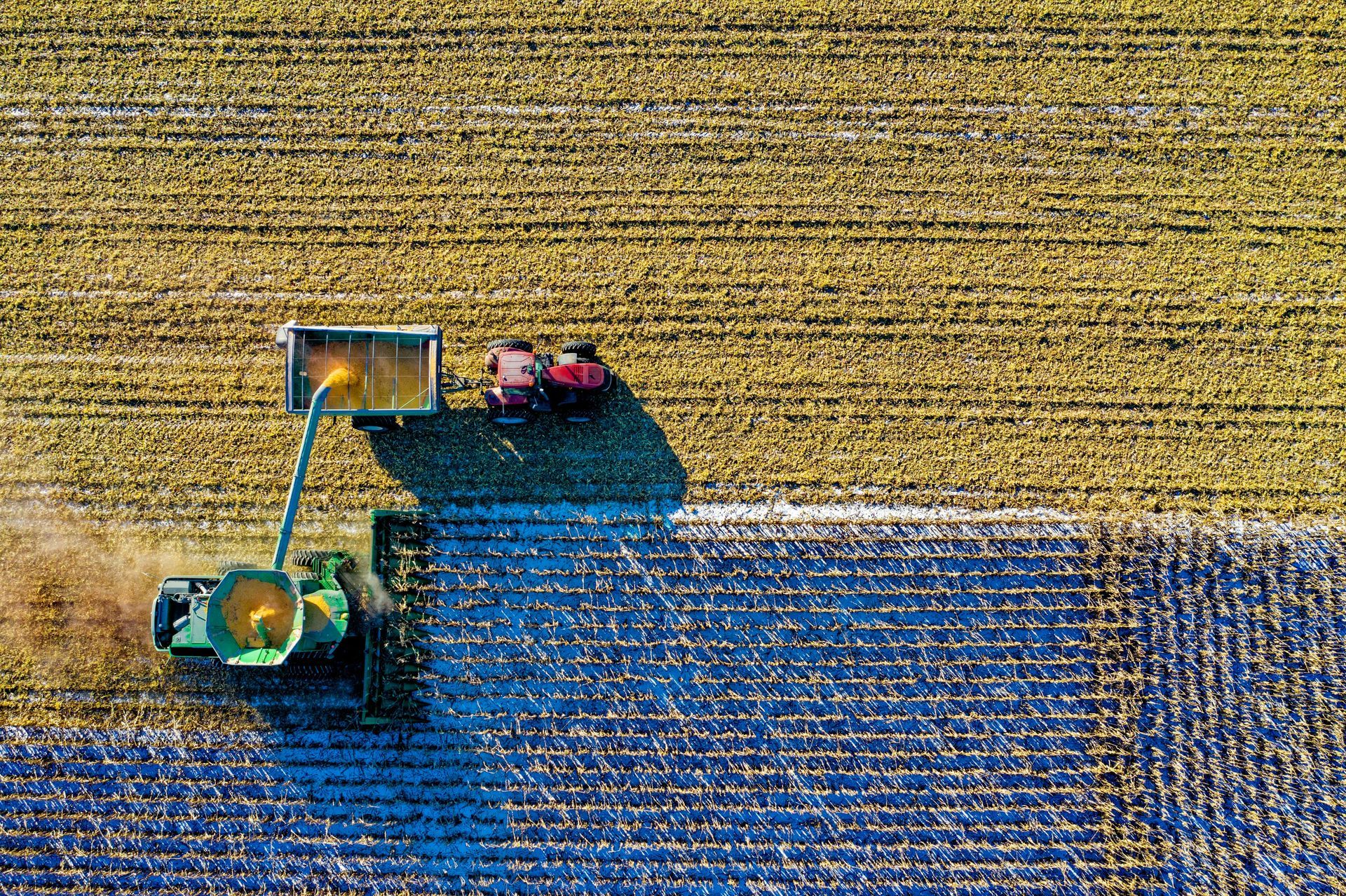 Overhead view of a green tractor harvesting a crop, with a red tractor alongside. Fields in yellow and blue.