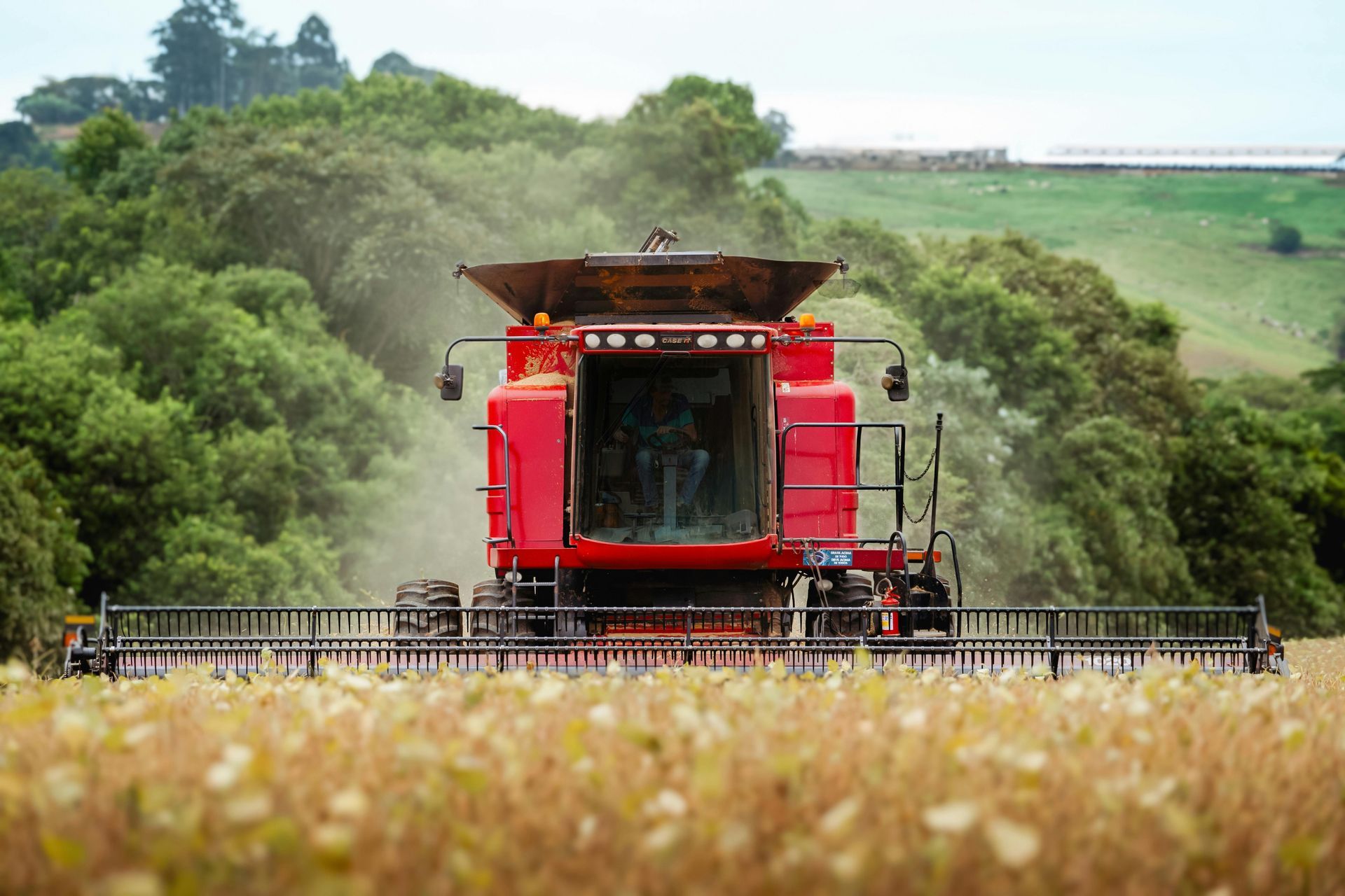 Red combine harvester harvesting a field of golden crops on a farm.