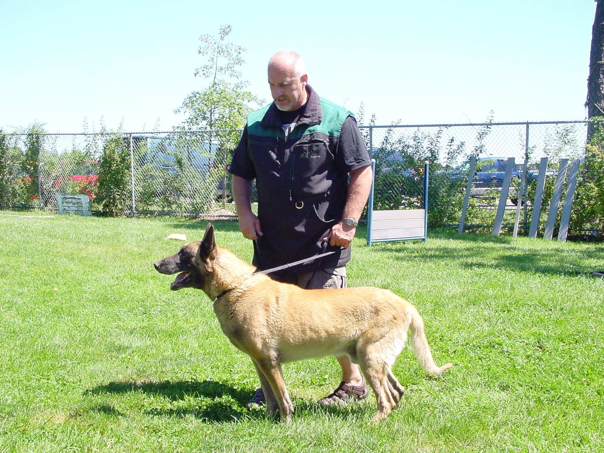 dog trainer in a bite suit training a dog at K9 Center