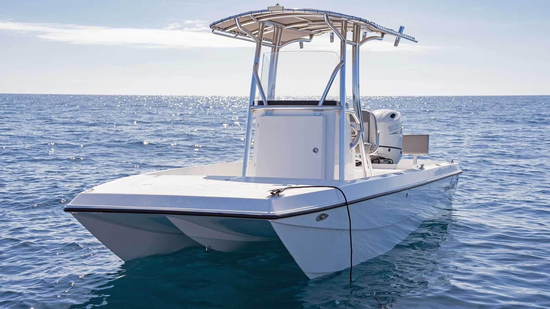 A white catamaran boat floats on calm blue water under a clear sky. It has a covered helm station.
