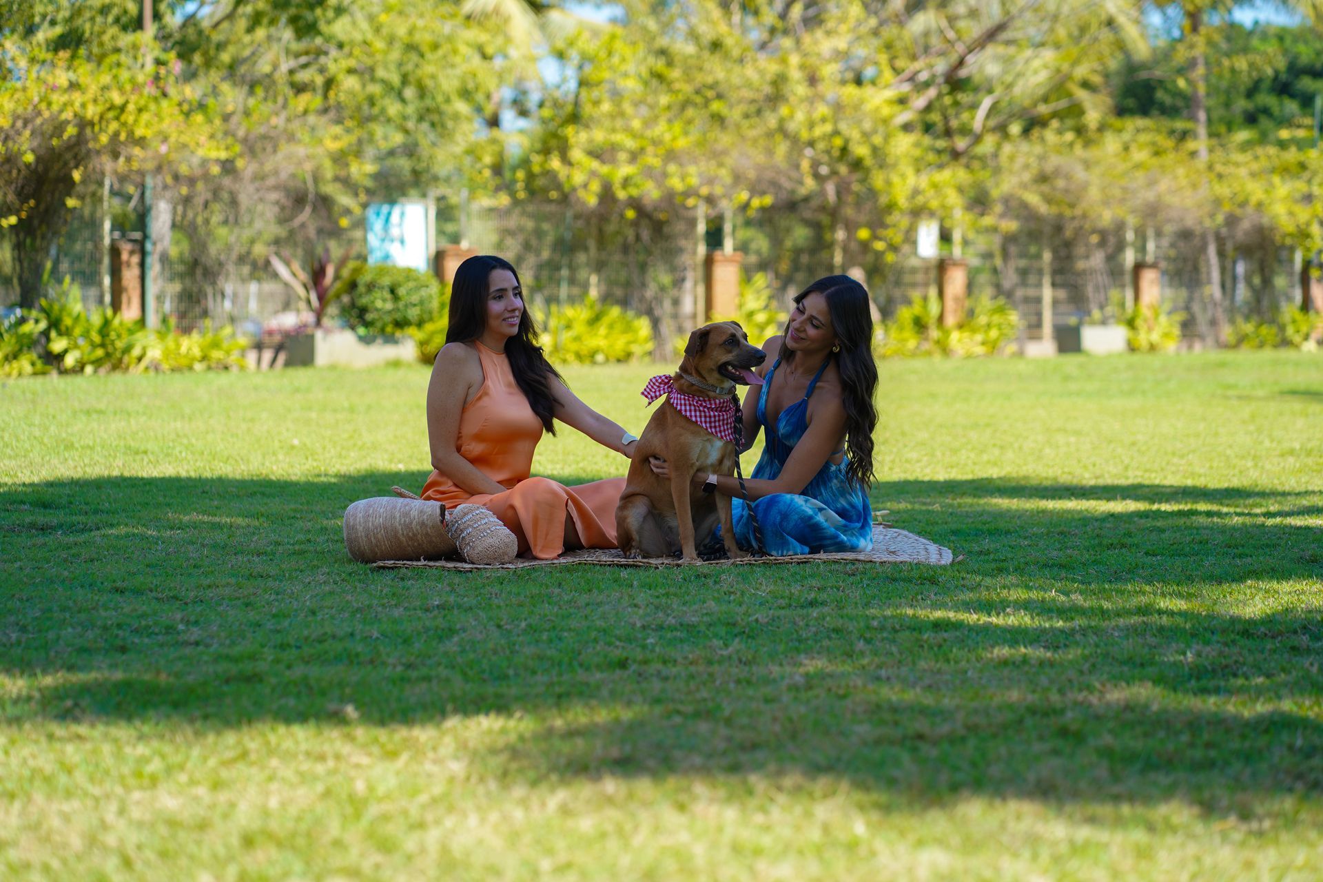 Two people sit with a dog on a grassy area in a park; they are petting it.