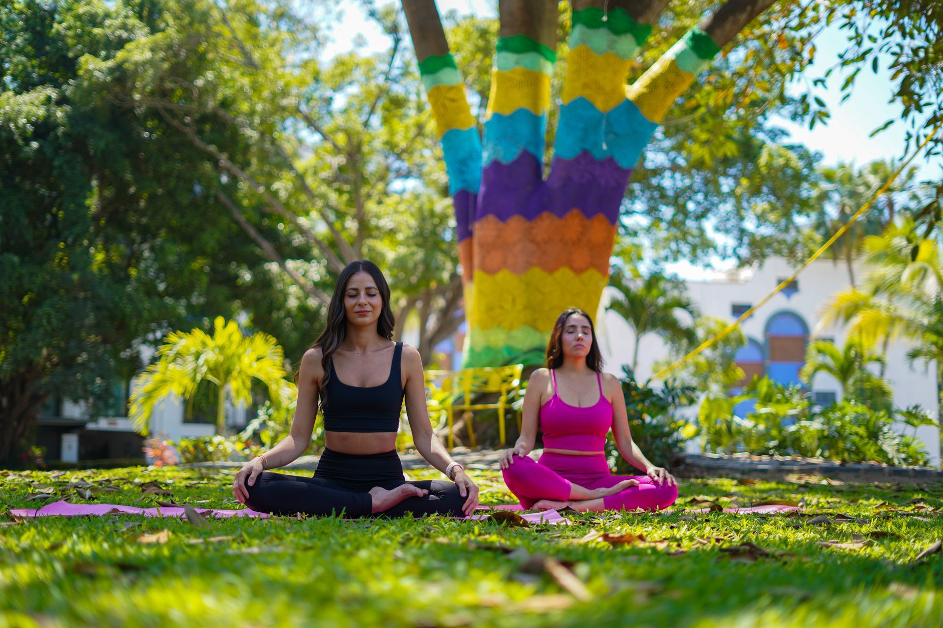 Two people in yoga poses on mats under a brightly painted tree in a park.