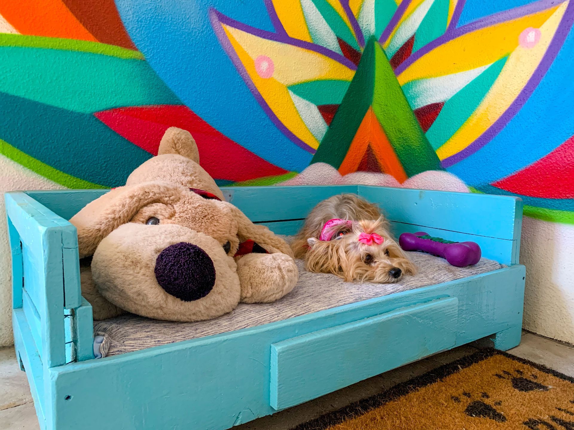 Dog in a blue bed with a toy dog and bone, in front of a colorful mural.