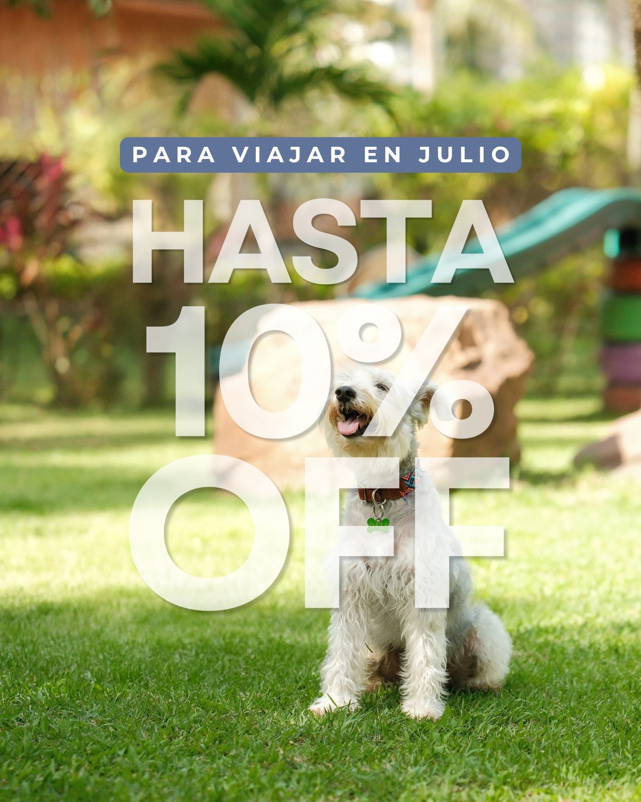 Promoción de hasta 10% de descuento para viajar en julio a Puerto de Luna