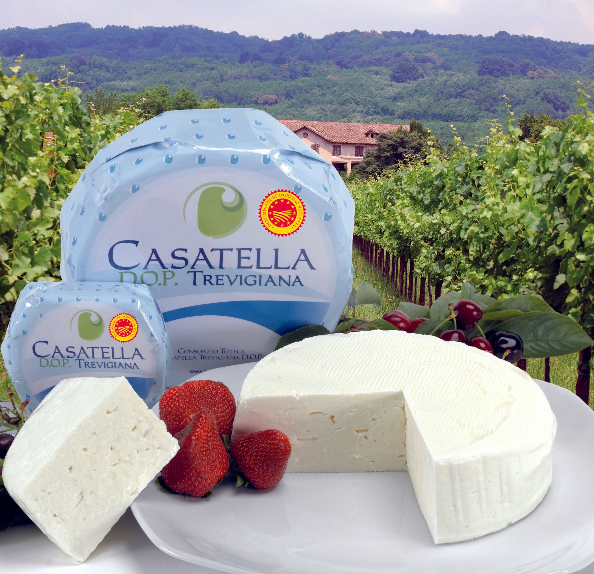 preparazione artigianale della casatella trevigiana