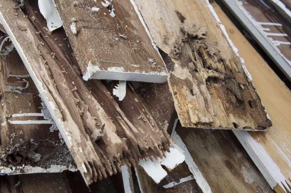 Broken Wood Planks — Port St. Lucie, FL — Goodfella's Pest Management Inc