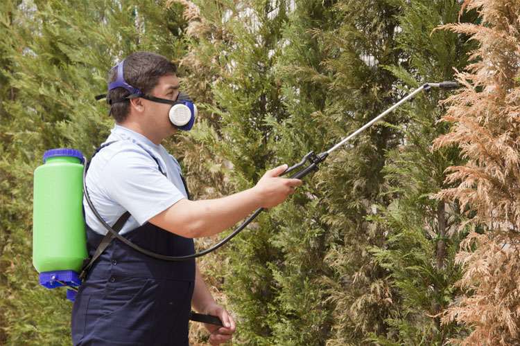 Man with Mask Spraying — Port St. Lucie, FL — Goodfella's Pest Management Inc