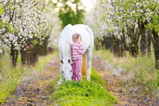 Young Girl with a Horse - Animal Clinic in Edgerton, OH