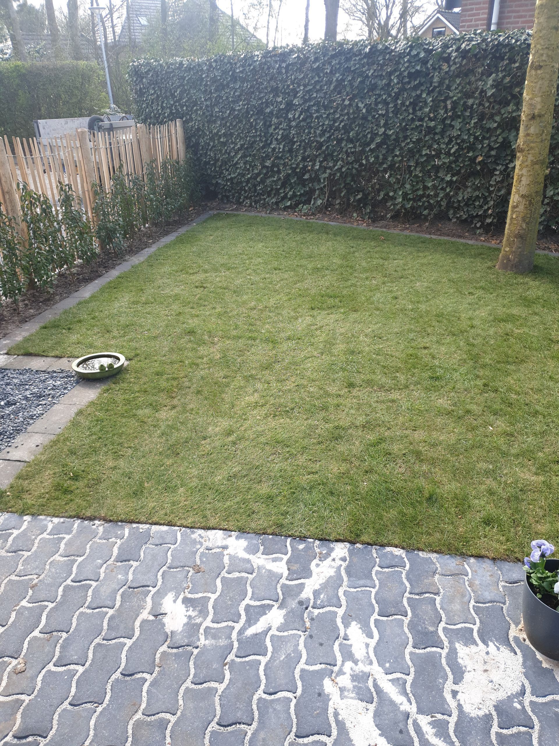 Aanleg gazon met graszoden