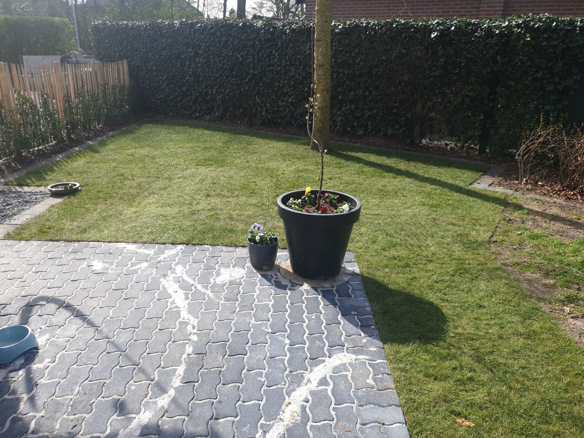 Aanleg gazon met graszoden