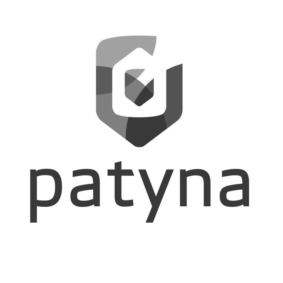 Patyna