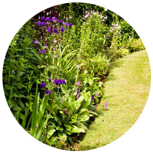 Flower border in garden