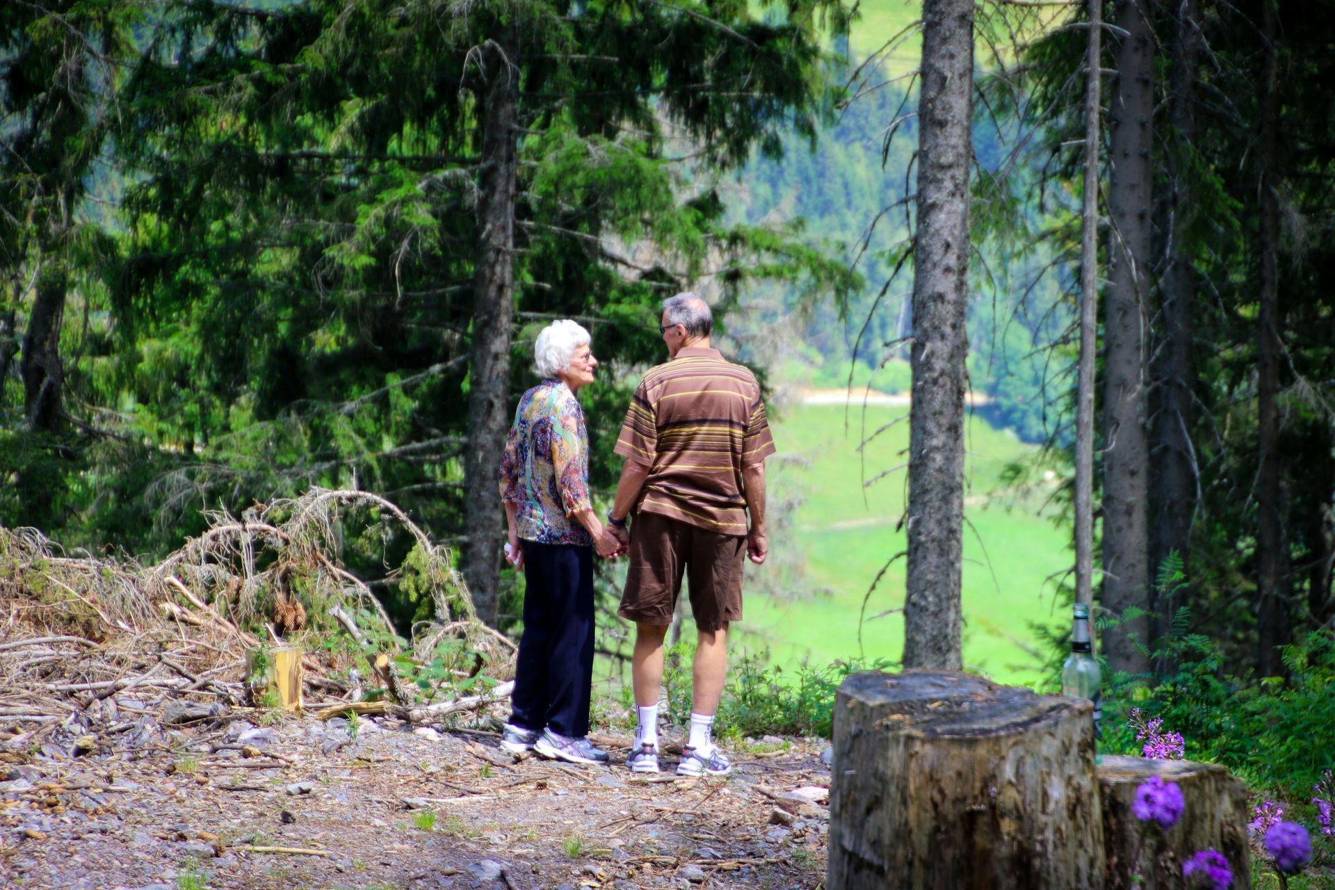 Elderly couple holding hands, looking at a green valley from a forest.