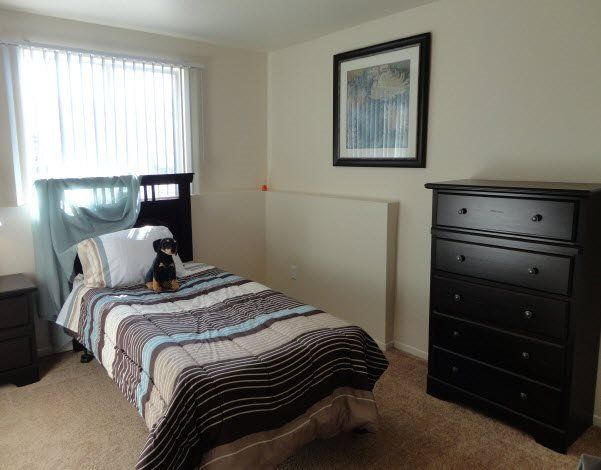 Availability - Click to view availabilities