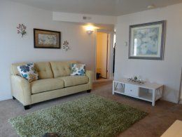 Alternate view of living room with sofa and green rug