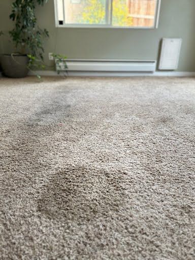 Before dirty carpet cleaned by the carpet cleaning professionals