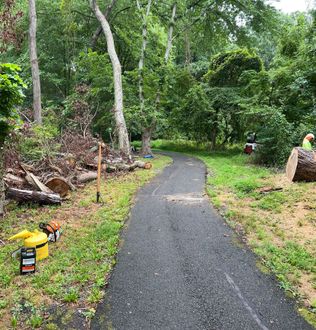 White Truck - Tree & Stump Removal Services in Vienna, VA