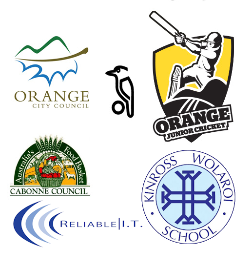 Collage of Orange and Cabonne council, cricket, Wiolaro school, and Reliable I.T. logos