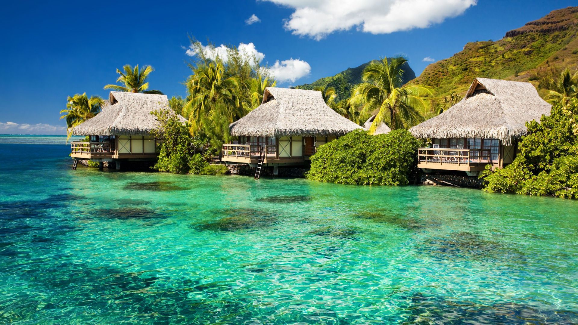 A row of thatched huts on a tropical island in the middle of the ocean.