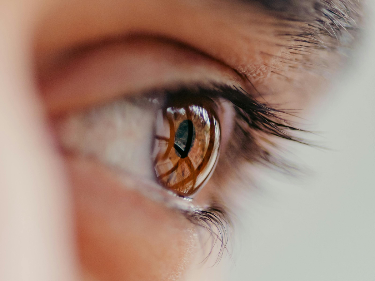 Close-up of a brown eye, reflecting a blurry window with dark eyelashes.