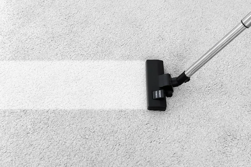 Vacuum Cleaner Cleaning White Carpet, Leaving a Clean Stripe — Clean Coast Carpet Cleaning in Port Stephens, NSW