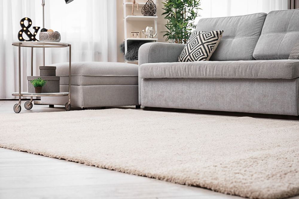 Beige Shag Rug in a Living Room, With a Gray Couch — Clean Coast Carpet Cleaning in Port Stephens, NSW