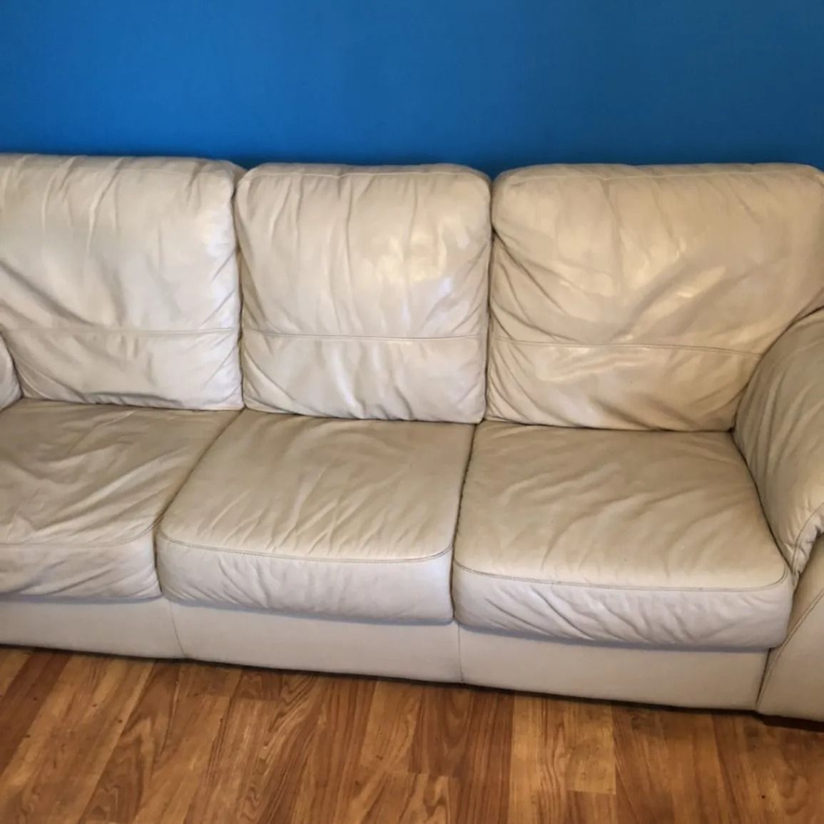 White Leather Sofa Against a Blue Wall and Hardwood Floor — Clean Coast Carpet Cleaning in Port Stephens, NSW