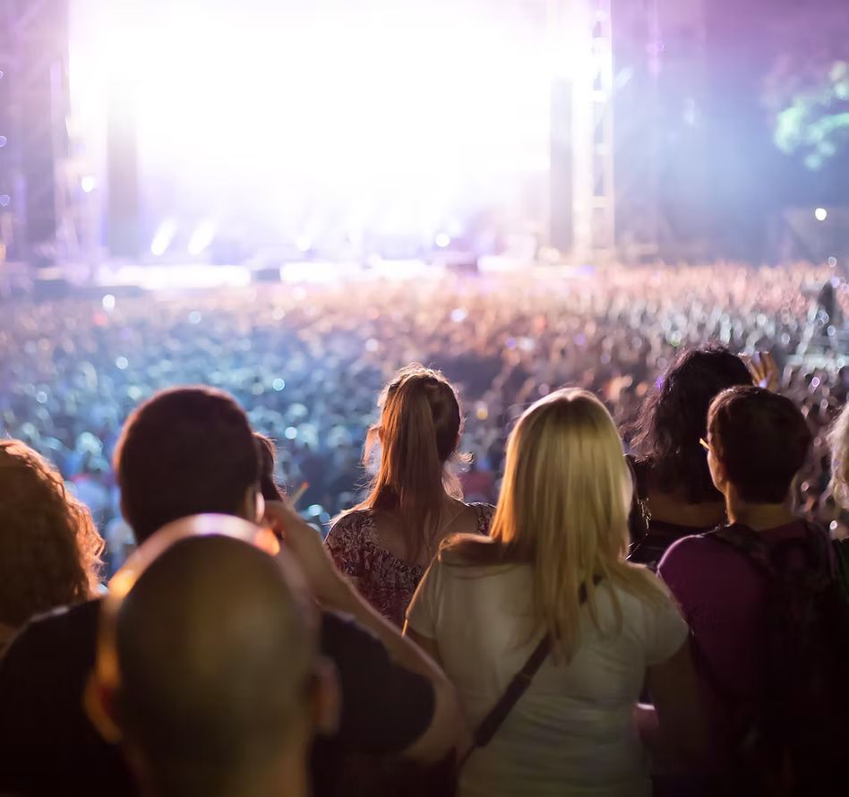 A crowd of people are watching a concert at night.