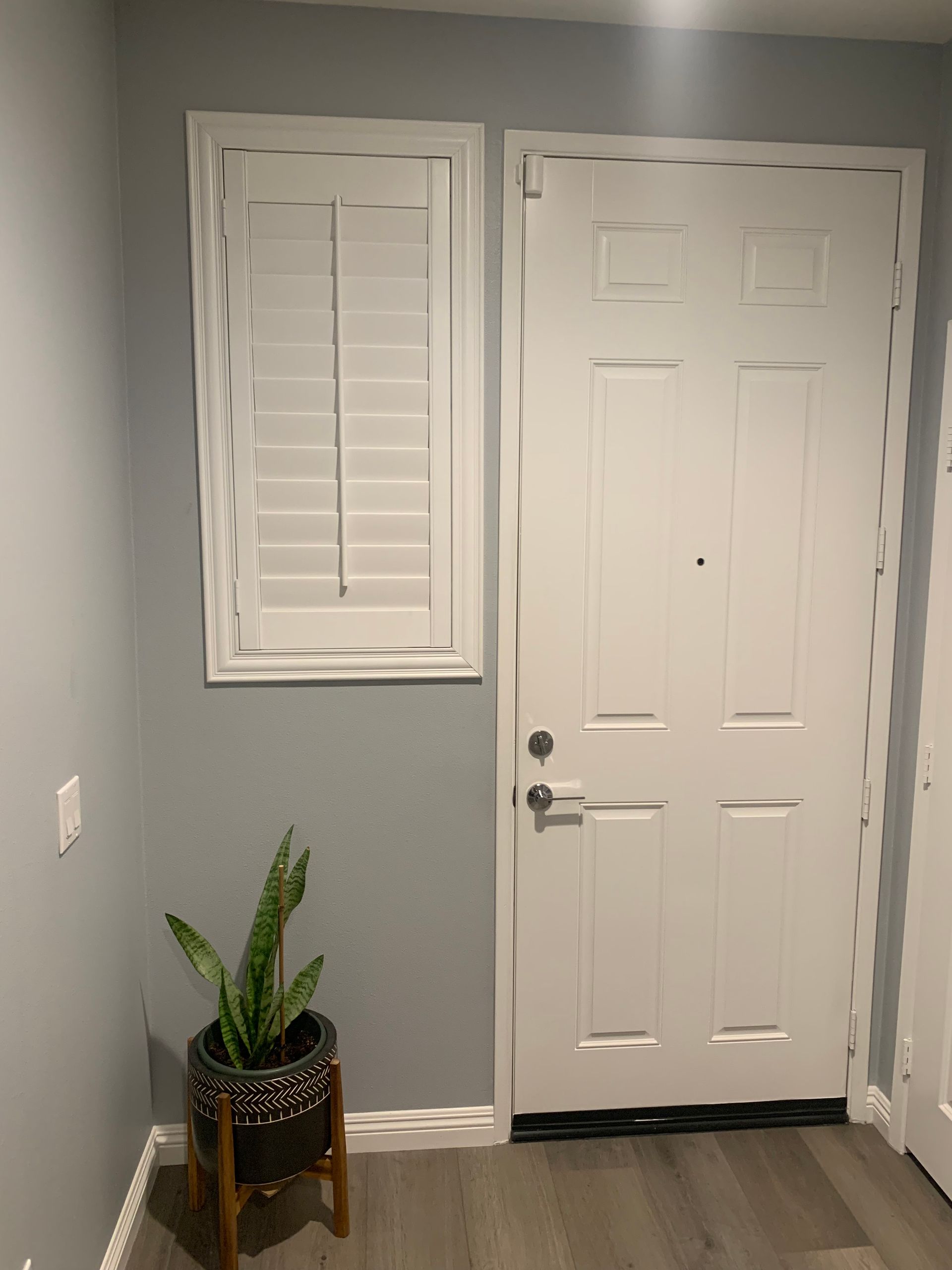A potted plant is sitting in a room next to a door.